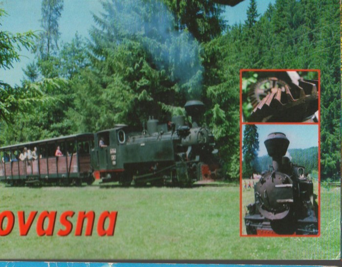 CPI B 12010 CARTE POSTALA - COVASNA. VALEA ZANELOR, MOCANITA