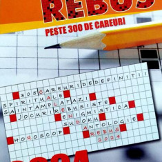 Mini calendar de perete Rebus 2024, format 12,5x9,5 cm, 365 file