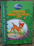 Descoperă animalele pădurii cu Bambi Colecţia Descoperă cu Disney