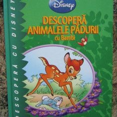 Descoperă animalele pădurii cu Bambi Colecţia Descoperă cu Disney