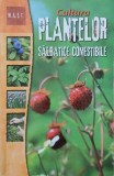 Cultura plantelor salbatice comestibile - Rene Auburn (cateva insemnari)