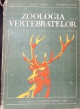 ZOOLOGIA VERTEBRATELOR-TRAIAN CEUCA, NICULAI VALENCIUC, ALEXANDRINA POPESCU-281215