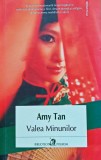 Cumpara ieftin Valea minunilor - 2015 - Amy Tan (@R69)