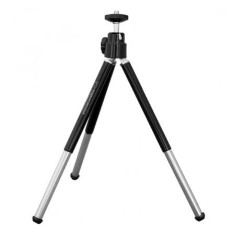 TREPIED FOTO AZALEA ESPERANZA ESP-EF105