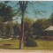 CP Timisoara Parcul Regina Maria 1926