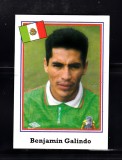 B10 - Sticker fotbal - Campionatul mondial USA - 1994 - nr 346