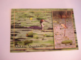 QW24 D - Carte postala - tematica turism - vedere - Delta Dunarii 10, Necirculata, Fotografie, Tulcea
