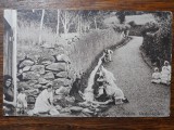 MADEIRA - SPANIA - SPALATORESE - INCEPUT DE 1900