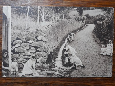 MADEIRA - SPANIA - SPALATORESE - INCEPUT DE 1900 foto