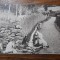 MADEIRA - SPANIA - SPALATORESE - INCEPUT DE 1900