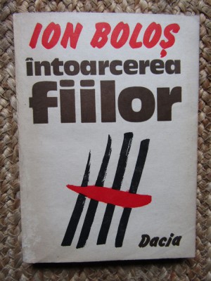 Ion Bolos - Intoarcerea fiilor foto