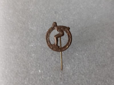 Insigna Inotator foto