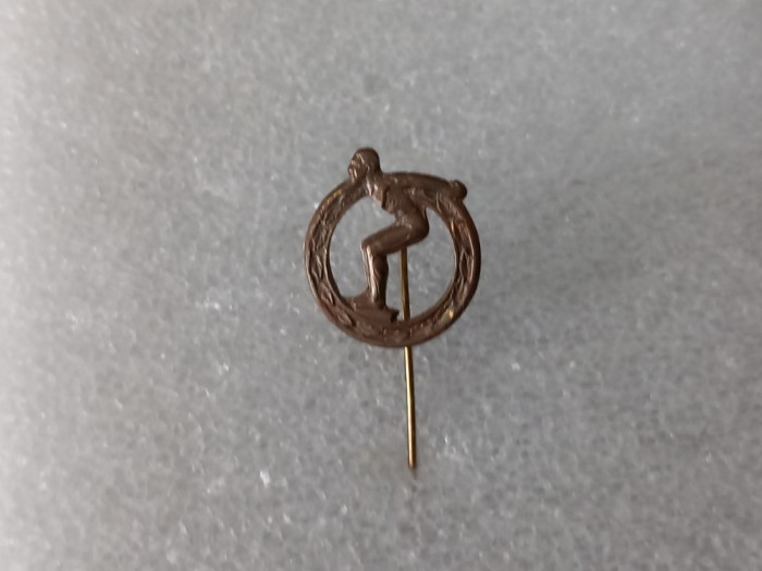 Insigna Inotator