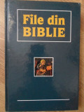FILE DIN BIBLIE-COLECTIV