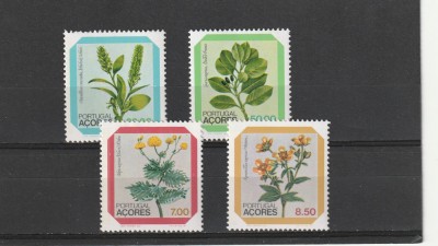 Flora,1981,Azore. foto