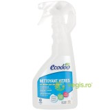Spray pentru Geamuri Ecologic/Bio 500ml