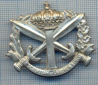 AX 56 INSIGNA MILITARA -,,PRIN STIINTA INVINGEM&amp;quot; -PT.COLECTIONARI foto