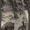 CPIB 19224 CARTE POSTALA - BAIA MARE. TURNUL STEFAN