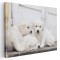 Tablou trei catelusi Golden Retriever Tablou canvas pe panza CU RAMA 60x80 cm