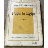 LITR2 Literatura Fuga in Egipt