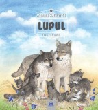 Lupul - Sasa Stanisic - DPH