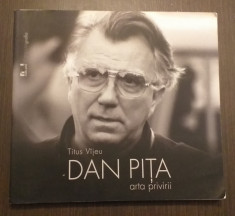 DAN PITA - ARTA PRIVIRII - TITUS VIJEU foto