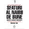 Sfaturi al naibii de bune - Art