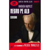 Negru pe alb. Scrisori - Costache Negruzzi