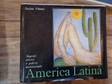 America Latina. Sugestii pentru o galerie sentimentala - Iordan Chimei