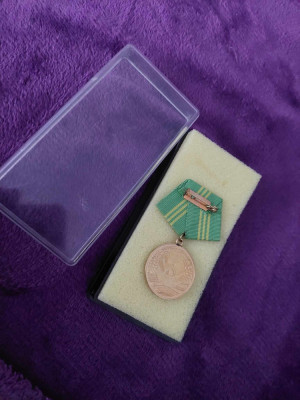 Medalie DDR,Republica Democratică Germană,15 ani Serviciu credincios,cu etui foto