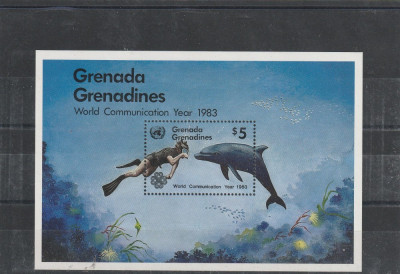 Fauna ,sport ,deldini ,inot subacvatic,Grenada. foto