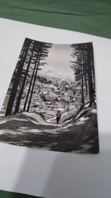 CARTE POSTA VEDERE DE PE PISCUL CAINELUI CIRCULATA foto