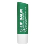 Balsam de buze cu aloe vera, stick hidratant, 4.5g, CMCLASS