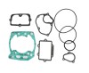 Set garnituri motor Suzuki RM 250 03- 05 NX-30031T, Namura