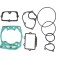 Set garnituri motor Suzuki RM 250 03- 05 NX-30031T
