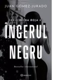Ingerul negru - Juan Gomez Jurado