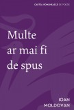 Cumpara ieftin Multe ar mai fi de spus - Ioan Moldovan