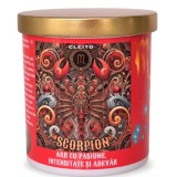 Lum&acirc;nare Zodia Scorpion &ndash; Parfum Floral Elegant - Ceara Soia si Cocos, 220 g