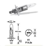 Bec H1 12V/55W 2577 Vecta