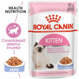 Cumpara ieftin Royal Canin Kitten hrana umeda pisica (aspic), 85 g