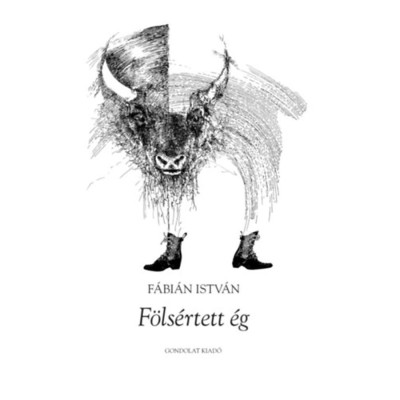 F&amp;ouml;ls&amp;eacute;rtett &amp;eacute;g - F&amp;aacute;bi&amp;aacute;n Istv&amp;aacute;n foto