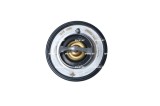NRF 725097 EASY FIT termostat,lichid racire