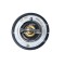 NRF 725097 EASY FIT termostat,lichid racire