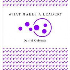 What Makes a Leader? (Harvard Business Review Classics)