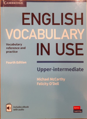English vocabulary in use foto