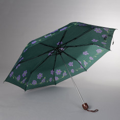 Umbrela dama R800 verde foto