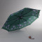 Umbrela dama R800 verde
