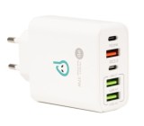 Incarcator de retea Spacer SPAR-CINQUEQ-01