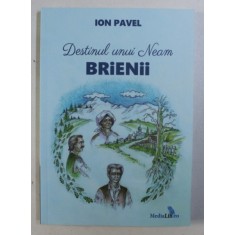 DESTINUL UNUI NEAM - BRIENII de ION PAVEL , 2018