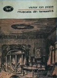 Victor Ion Popa - Muscata din fereastra. Teatru, volumul 1